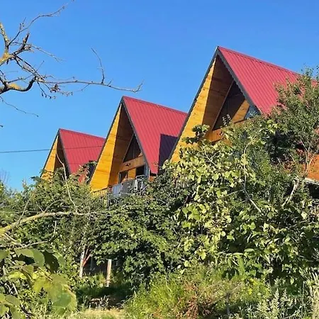 Trabzon Bungalovv Yomra