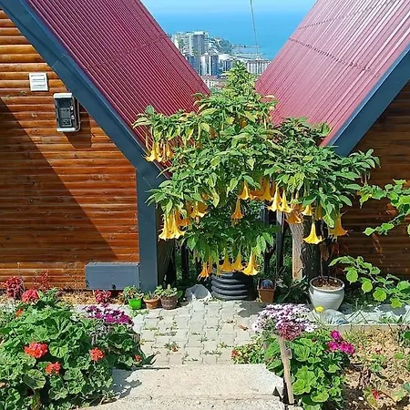 Trabzon Bungalovv Chalet Yomra